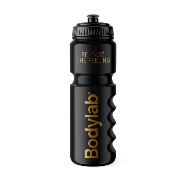 Water Bottle (750 ml)