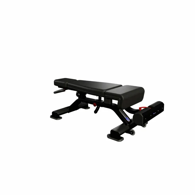 Nautilus Inspiration Adjustable Decline Bench