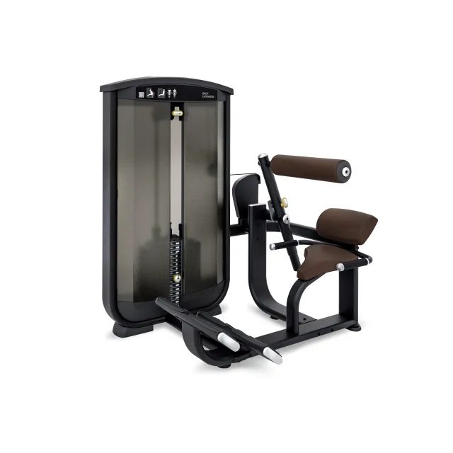 Intenza Ease Line Back Extension (vægtstak: 102 kg) - Træning af musklerne i nedre del af ryggen